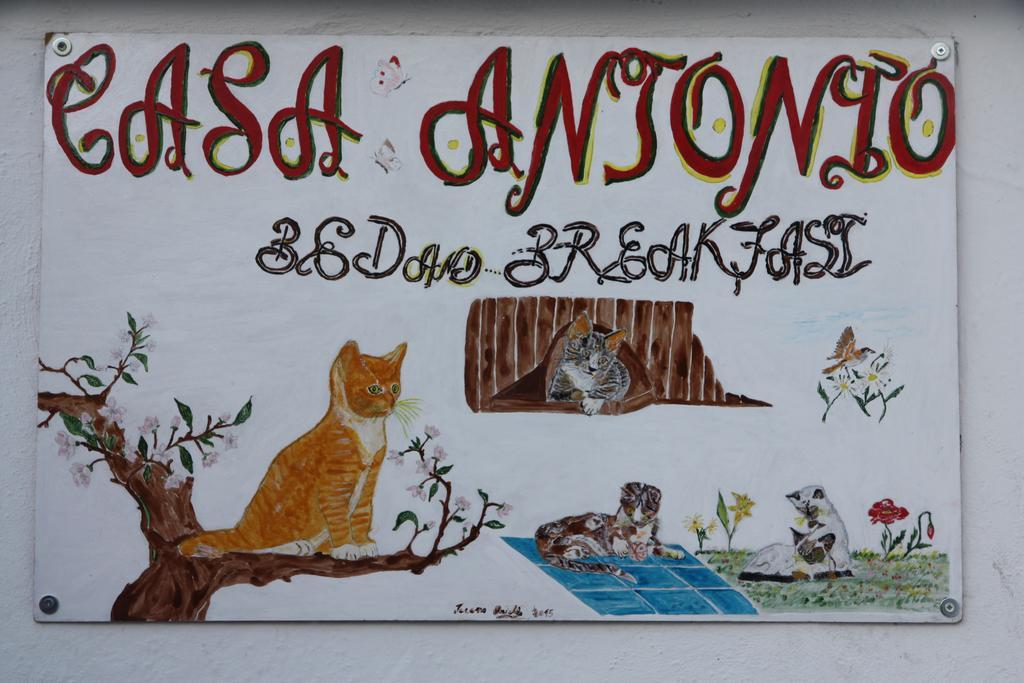 Casa Antonio Barano dʼIschia Exterior foto
